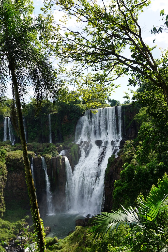f:id:konparou:20200719210426j:image f:id:konparou:20200719210426j:image