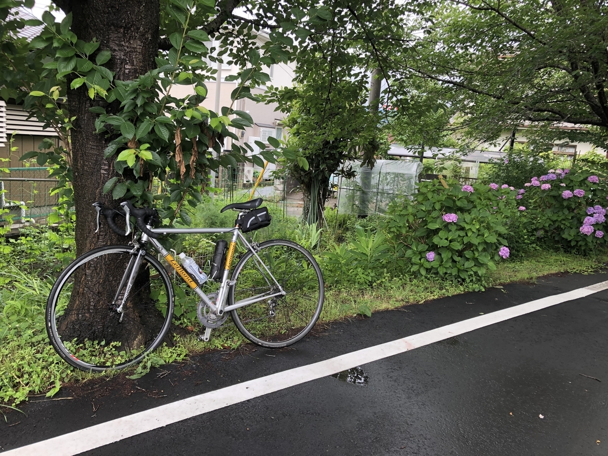 ロードバイク】ロードバイク購入！装備と所感／筑波山＆日光霧降高原 