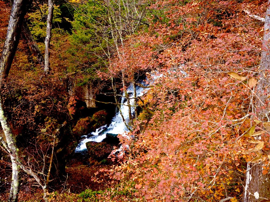 ロードバイク 秋のロングライド 奥日光 金精峠 紅葉狩り 雪中行軍 クロモリ 紺碧ブログ