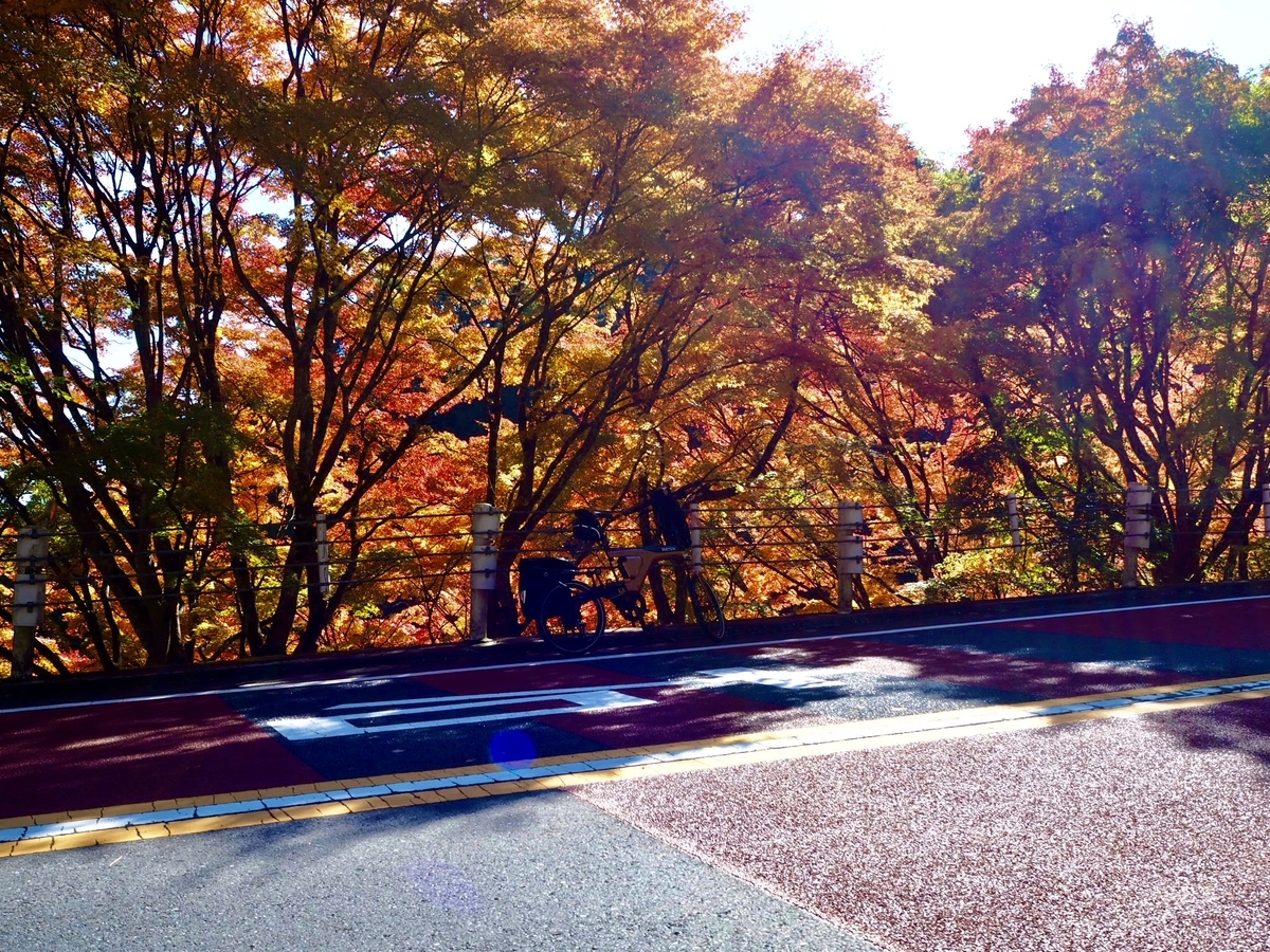 f:id:konpekikai:20211101124444j:plain