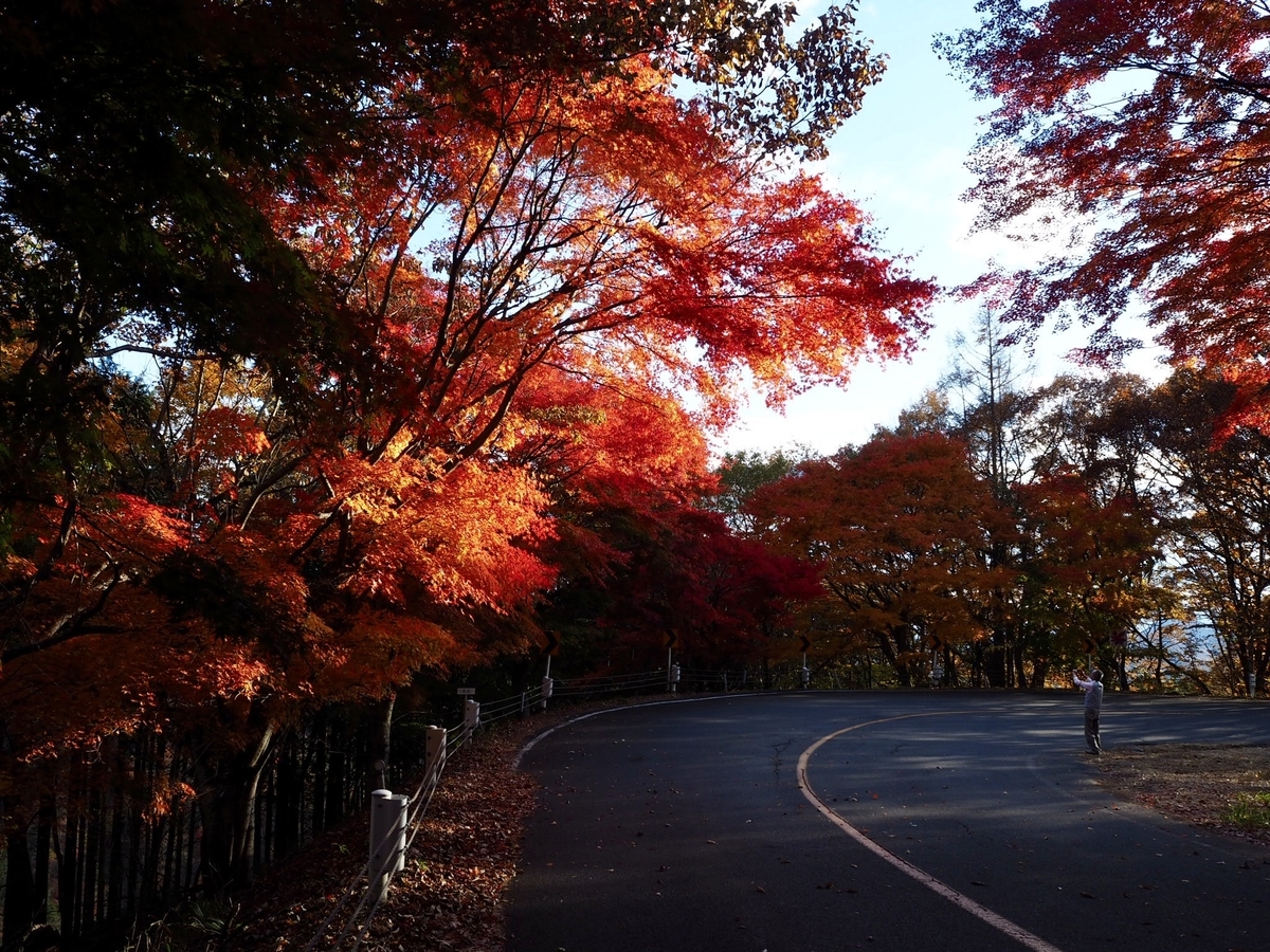 f:id:konpekikai:20211104130824j:plain
