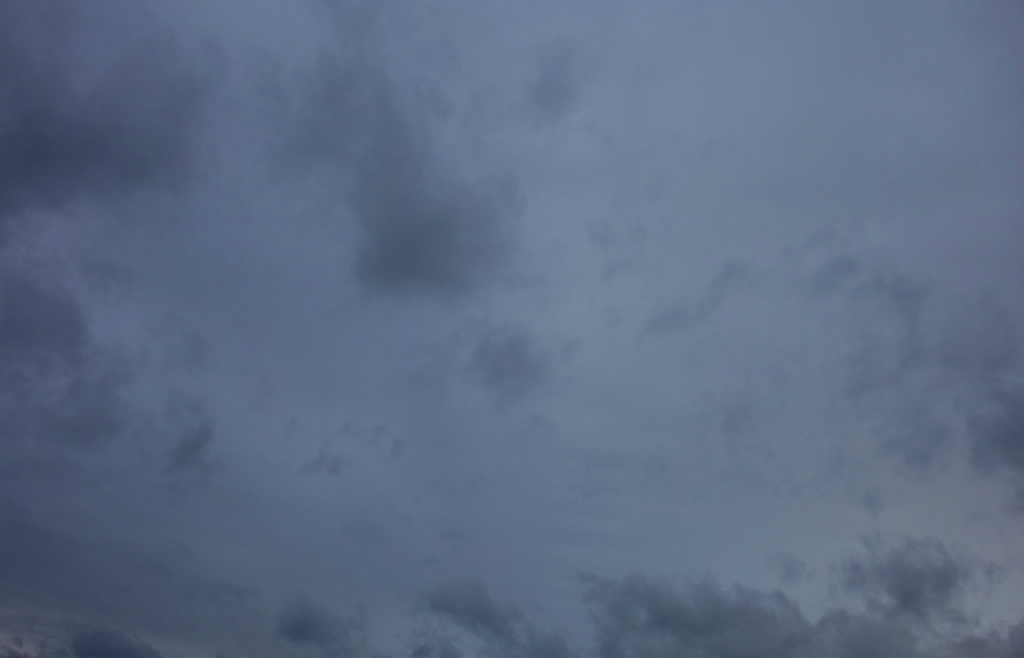 f:id:konpekino:20220104052909j:plain
