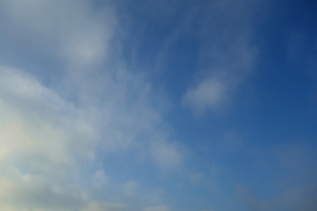 f:id:konpekino:20220127054438j:plain