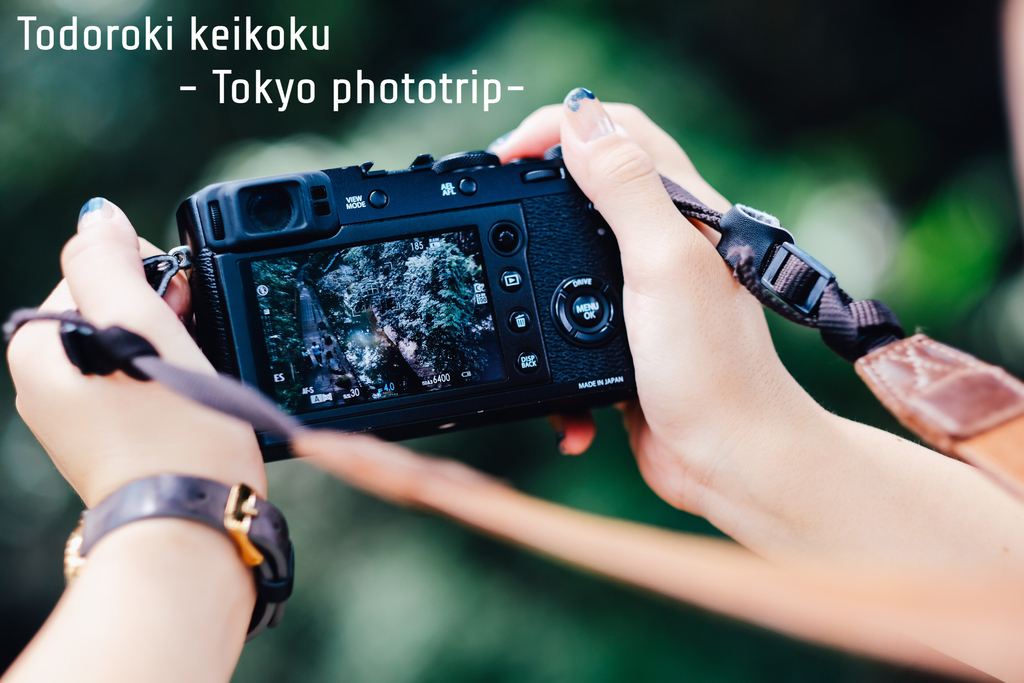 f:id:konphoto:20180924194654j:plain f:id:konphoto:20180924194654j:plain