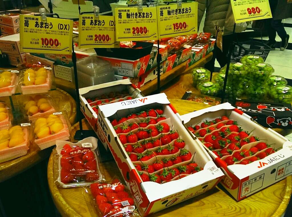 f:id:konpoco:20160909133504j:plain f:id:konpoco:20160909133504j:plain