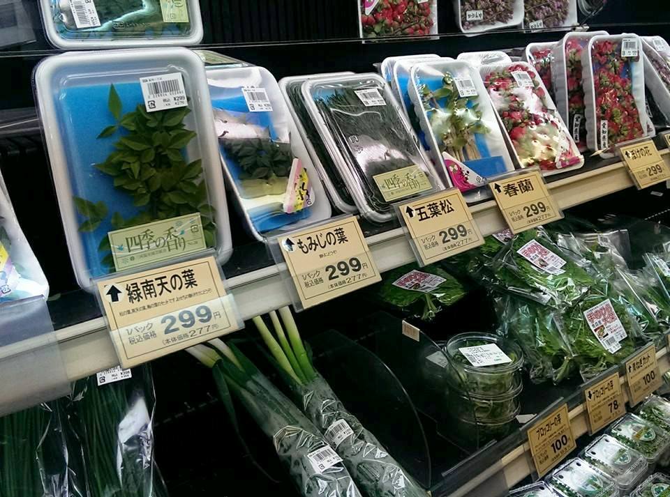 f:id:konpoco:20160909134654j:plain f:id:konpoco:20160909134654j:plain