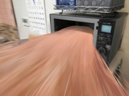 f:id:konrinzaizako:20210103225014j:plain