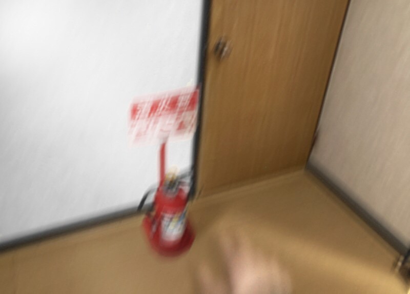 f:id:konrinzaizako:20210114193715j:plain