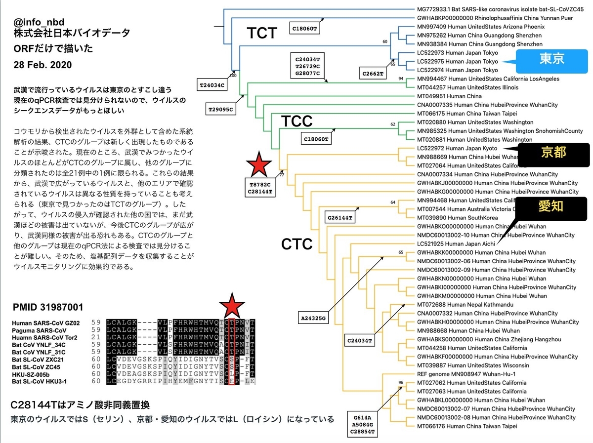 f:id:konsabashufu:20200305175045j:plain