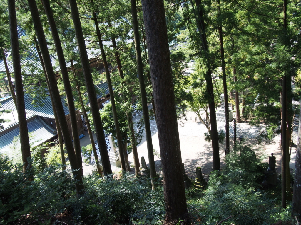 f:id:konsoyage:20180703023716j:plain f:id:konsoyage:20180703023716j:plain