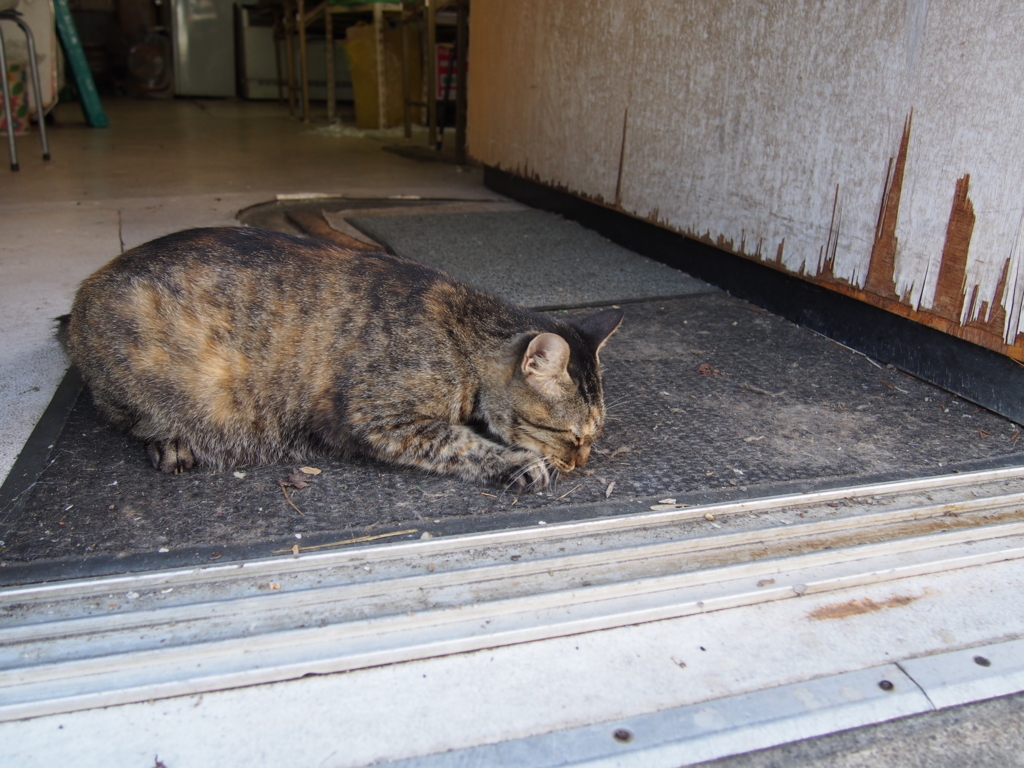 f:id:konsoyage:20180703025545j:plain f:id:konsoyage:20180703025545j:plain