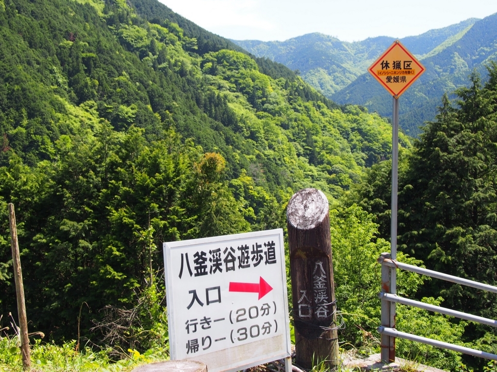 f:id:konsoyage:20180708174831j:plain