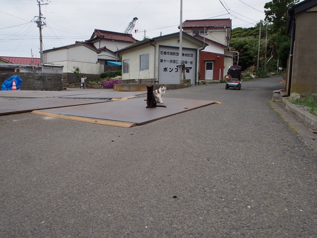 f:id:konsoyage:20180901184938j:plain f:id:konsoyage:20180901184938j:plain