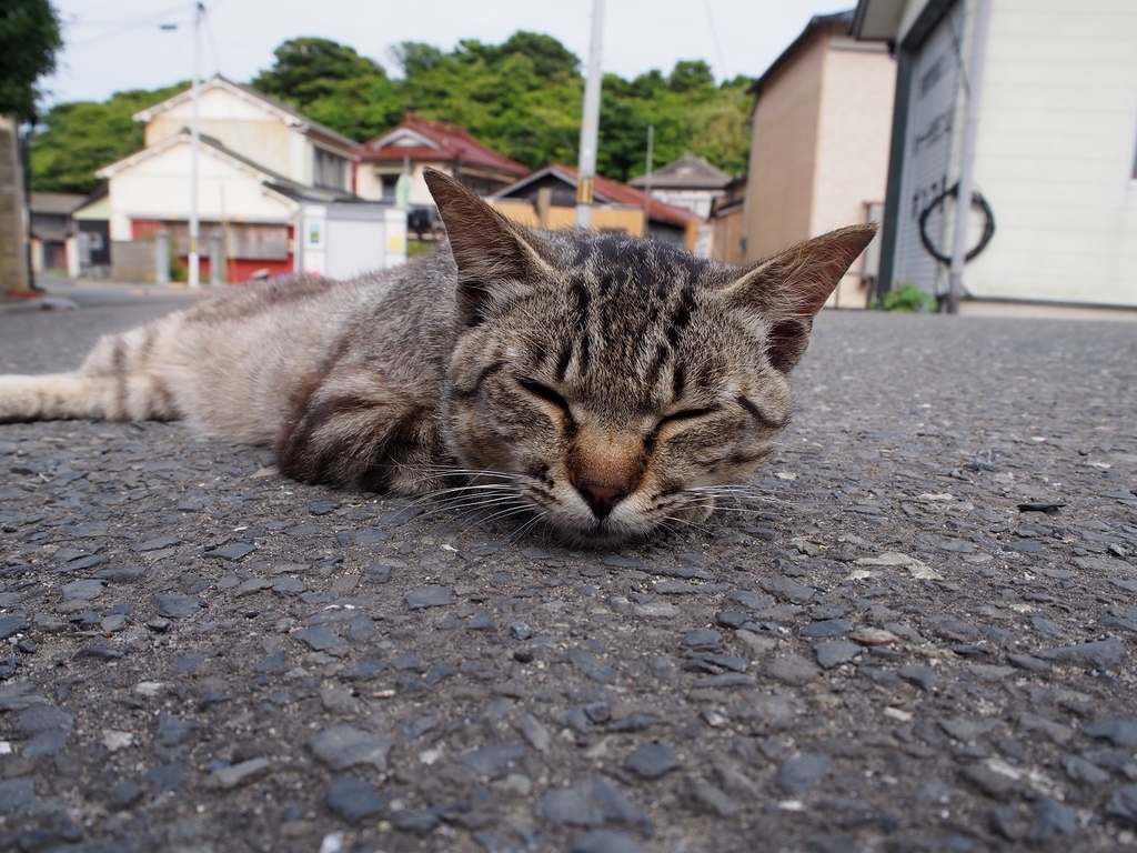 f:id:konsoyage:20180901185050j:plain f:id:konsoyage:20180901185050j:plain