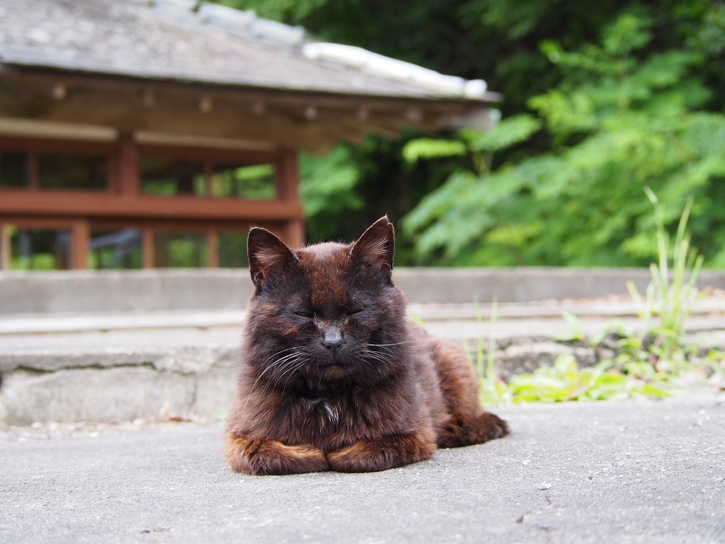 f:id:konsoyage:20180907014308j:plain f:id:konsoyage:20180907014308j:plain