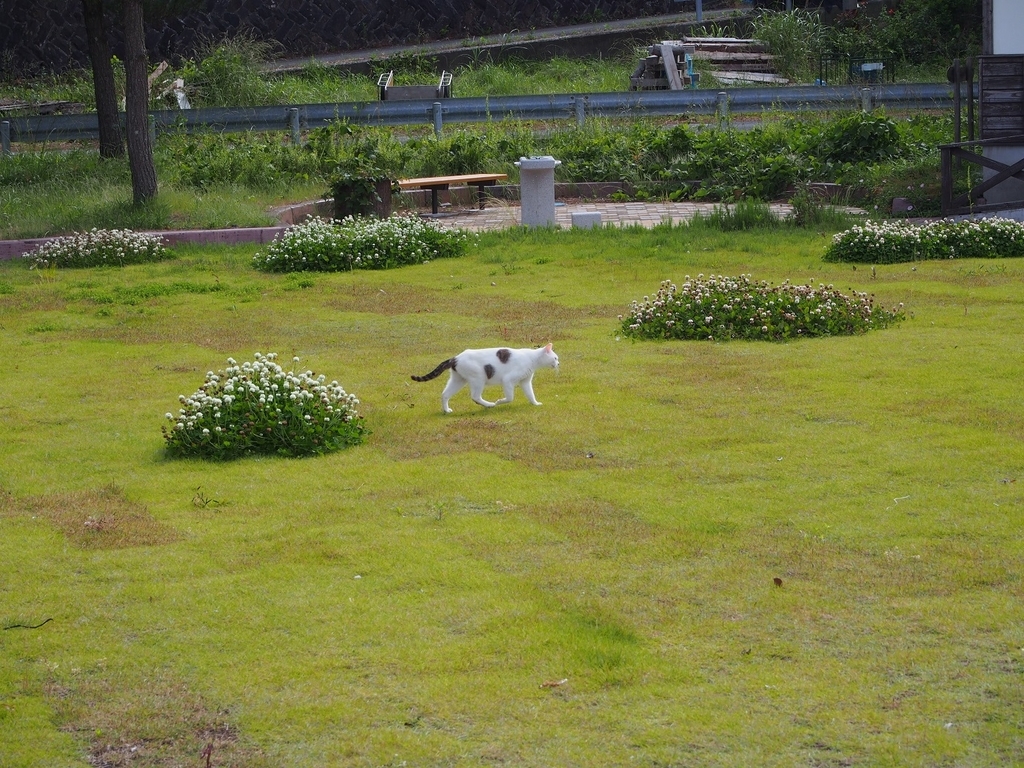 f:id:konsoyage:20180907014508j:plain f:id:konsoyage:20180907014508j:plain
