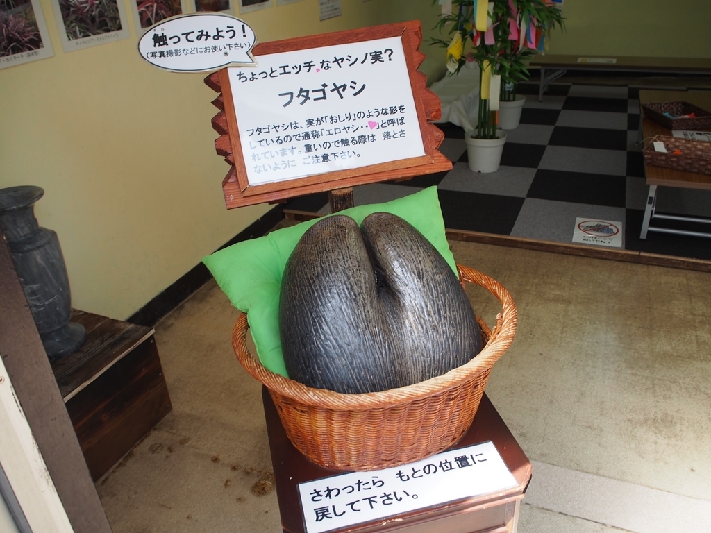 f:id:konsoyage:20181004011507j:plain f:id:konsoyage:20181004011507j:plain