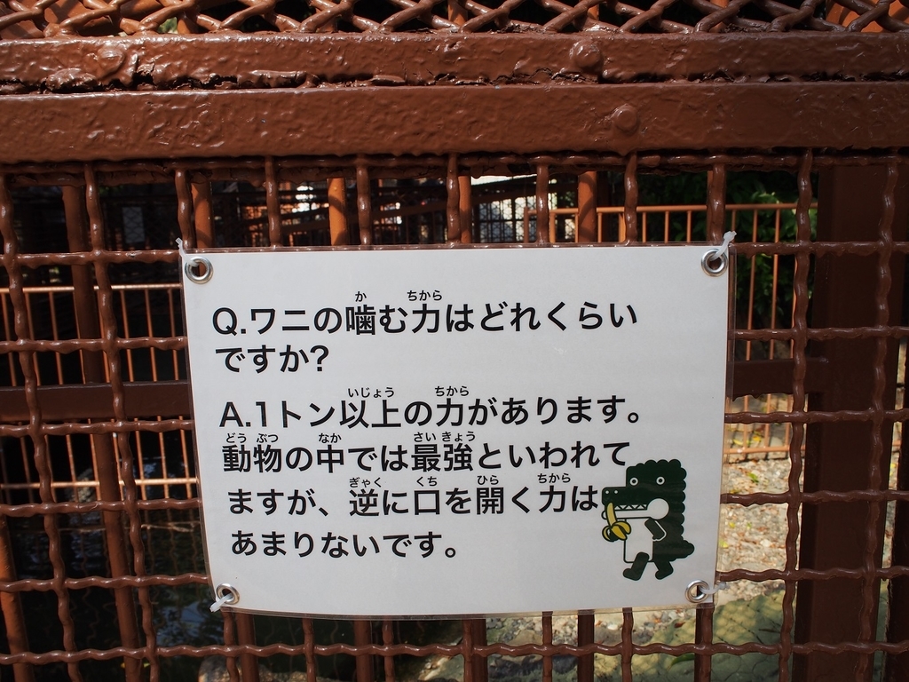 f:id:konsoyage:20181004015818j:plain f:id:konsoyage:20181004015818j:plain