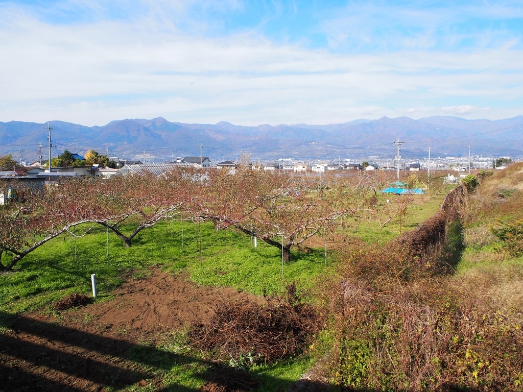 f:id:konsoyage:20181127234932j:plain f:id:konsoyage:20181127234932j:plain