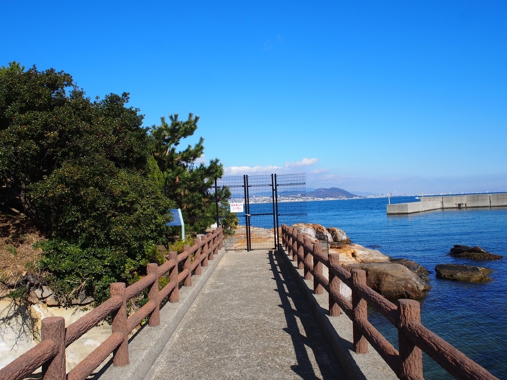 f:id:konsoyage:20190119212735j:plain