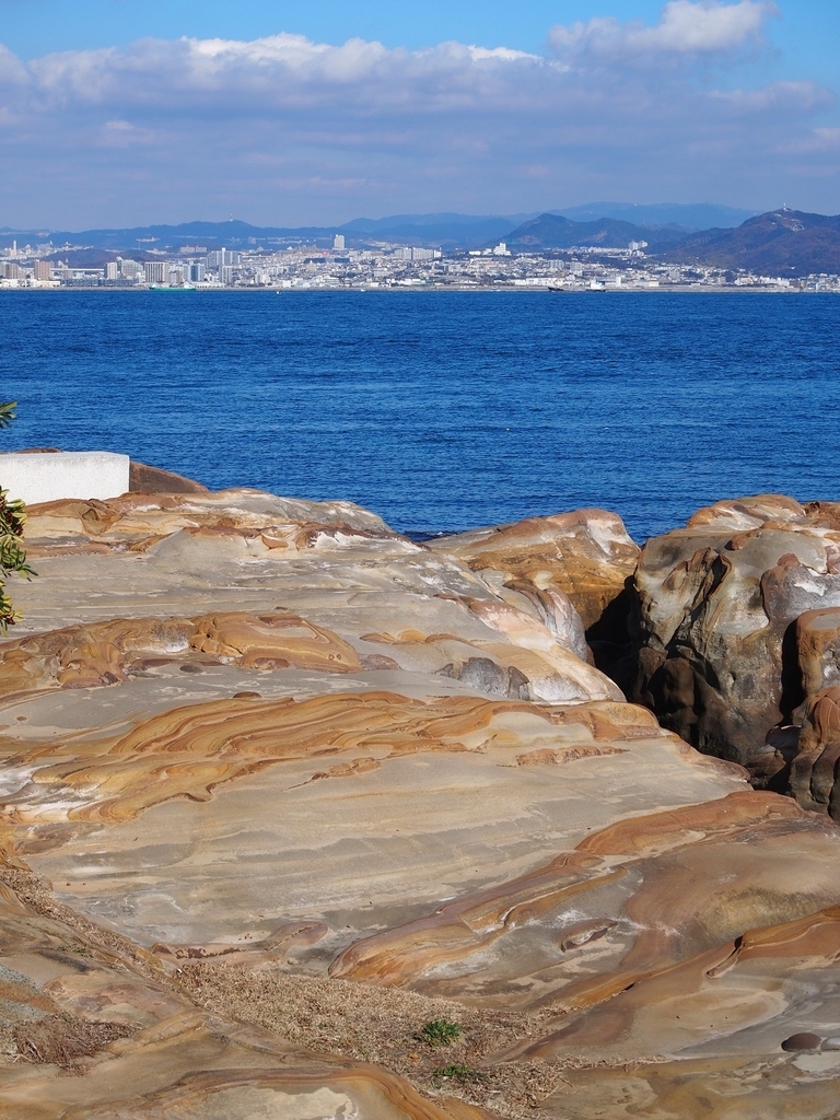 f:id:konsoyage:20190119215321j:plain
