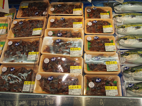 f:id:konsoyage:20190303125920j:plain
