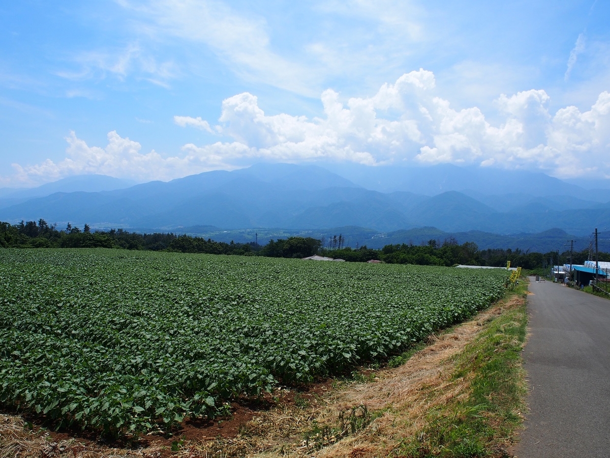 f:id:konsoyage:20190613002904j:plain