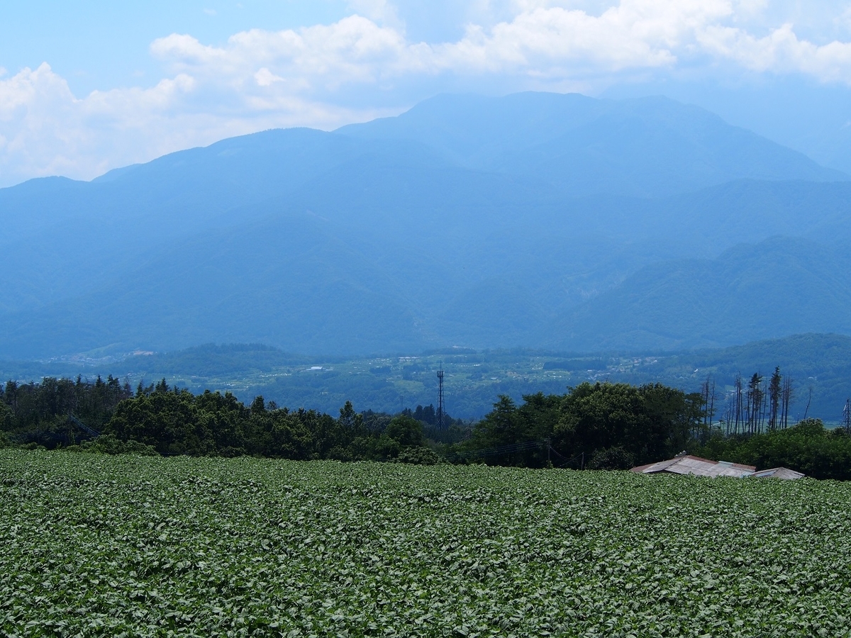f:id:konsoyage:20190613003401j:plain