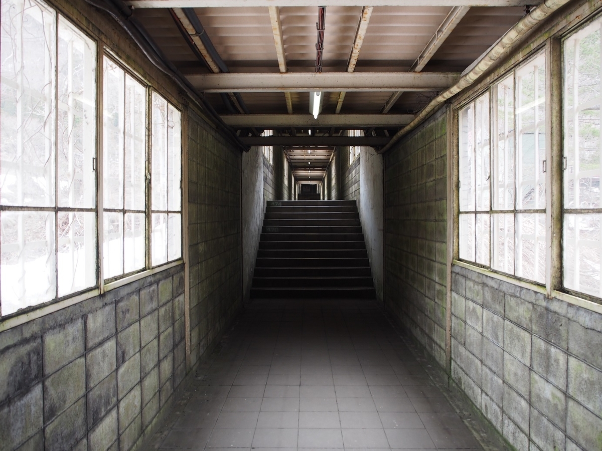 f:id:konsoyage:20190707214653j:plain f:id:konsoyage:20190707214653j:plain