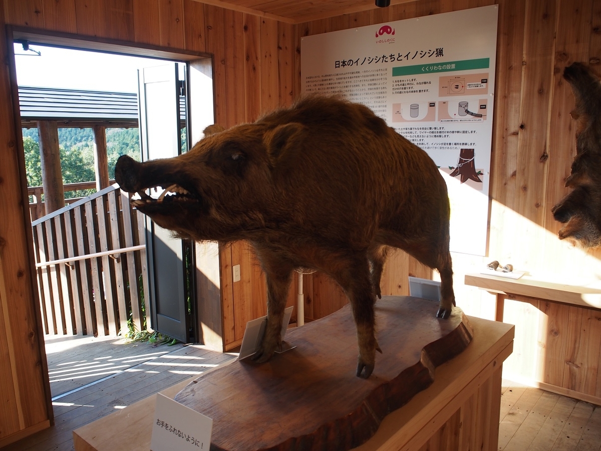 イノシシ愛にあふれた和風動物園 東筑波ユートピア そこにしかない個性 それはオブザイヤー