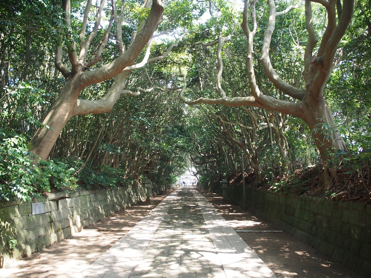神の道 in the 厳かに広がる神秘的な樹叢 ~酒列磯前神社~ - そこにしかない個性。それはオブザイヤー