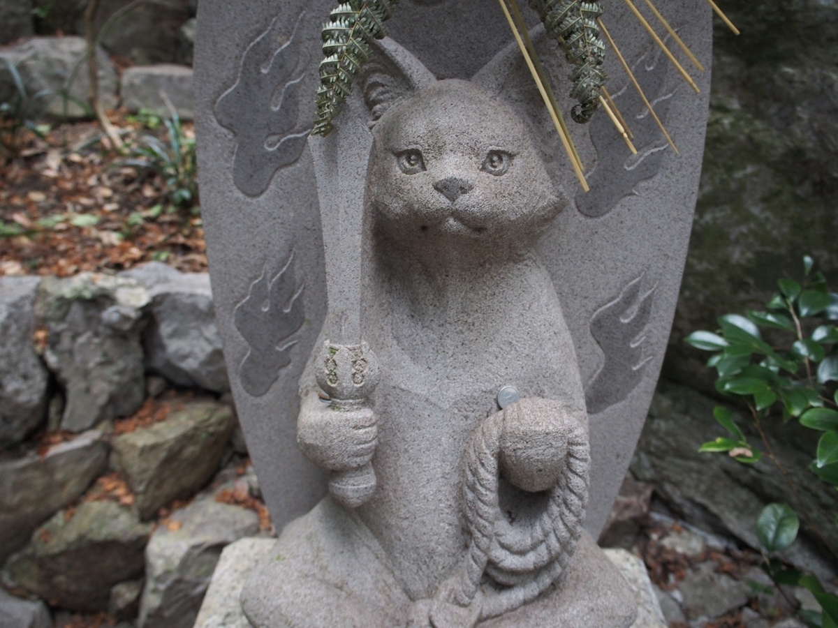 ねこ 最後は打ち勝つ お松大権現 そこにしかない個性 それはオブザイヤー