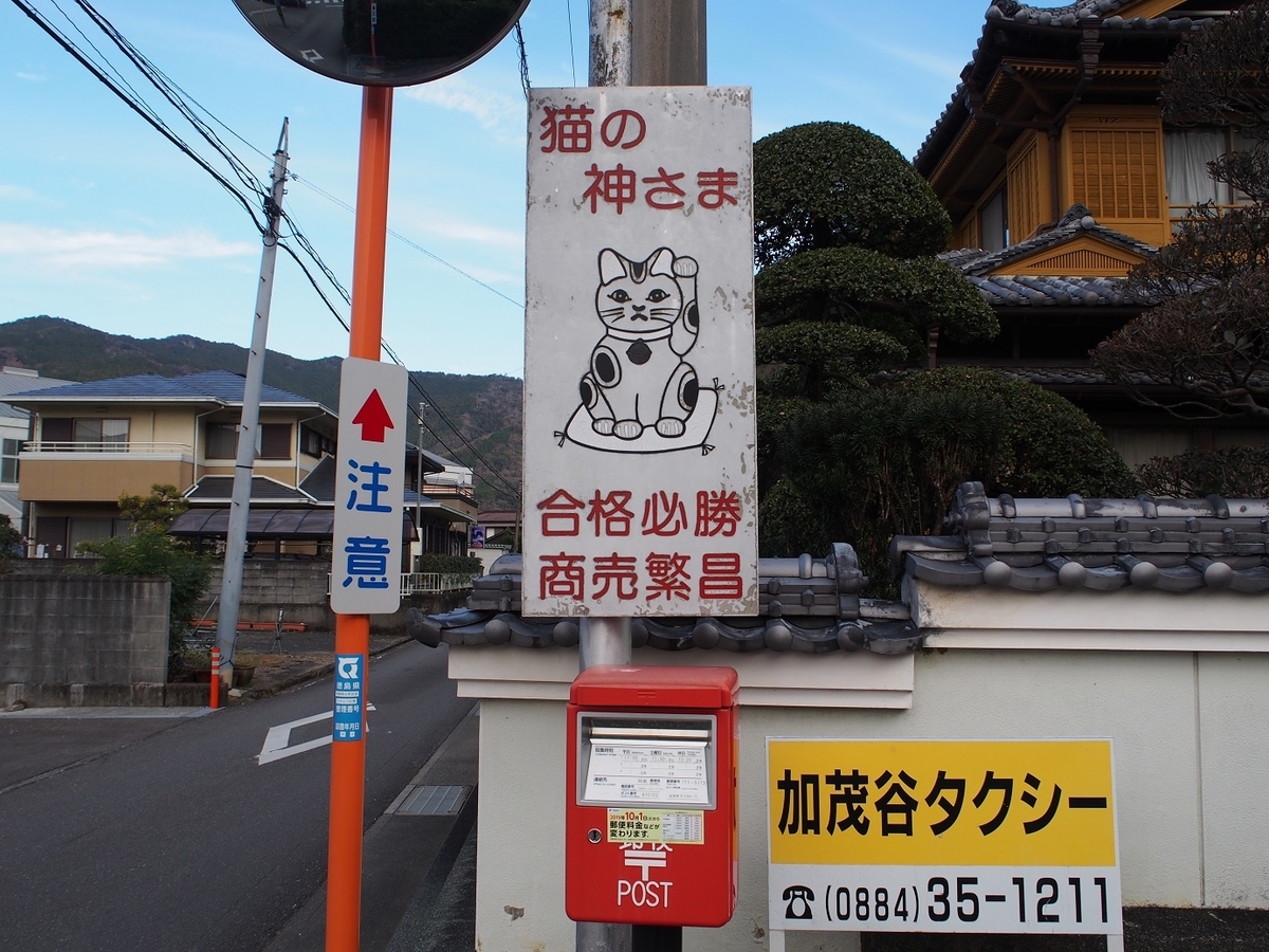 ねこ 最後は打ち勝つ お松大権現 そこにしかない個性 それはオブザイヤー
