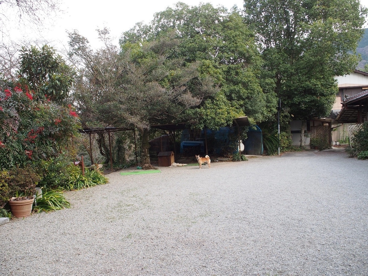 f:id:konsoyage:20200120015916j:plain f:id:konsoyage:20200120015916j:plain