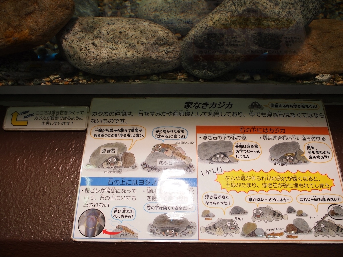 f:id:konsoyage:20200323003805j:plain