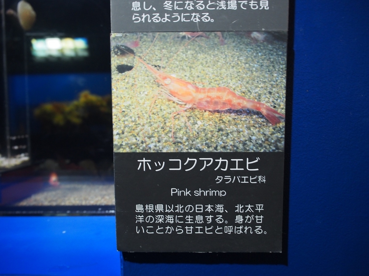 f:id:konsoyage:20200323011425j:plain