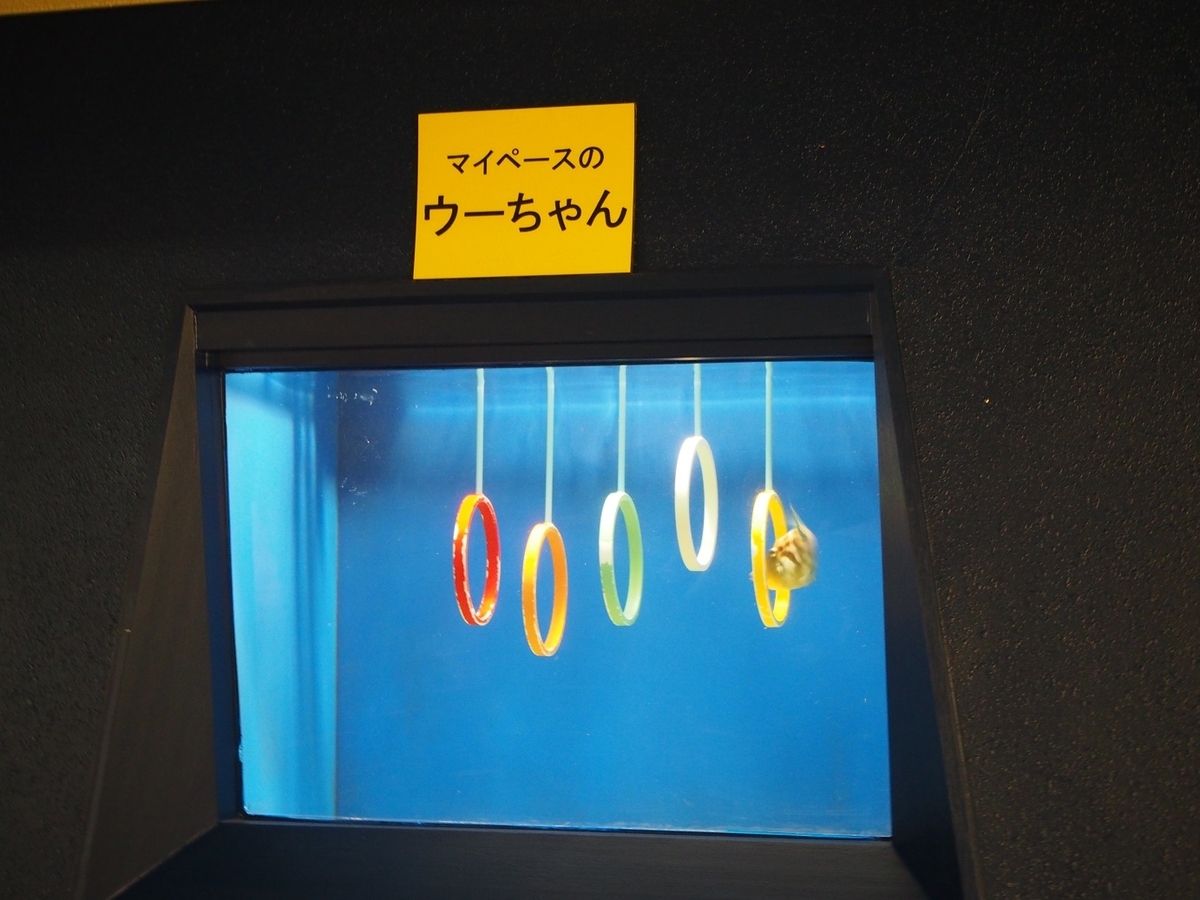 f:id:konsoyage:20200323013444j:plain