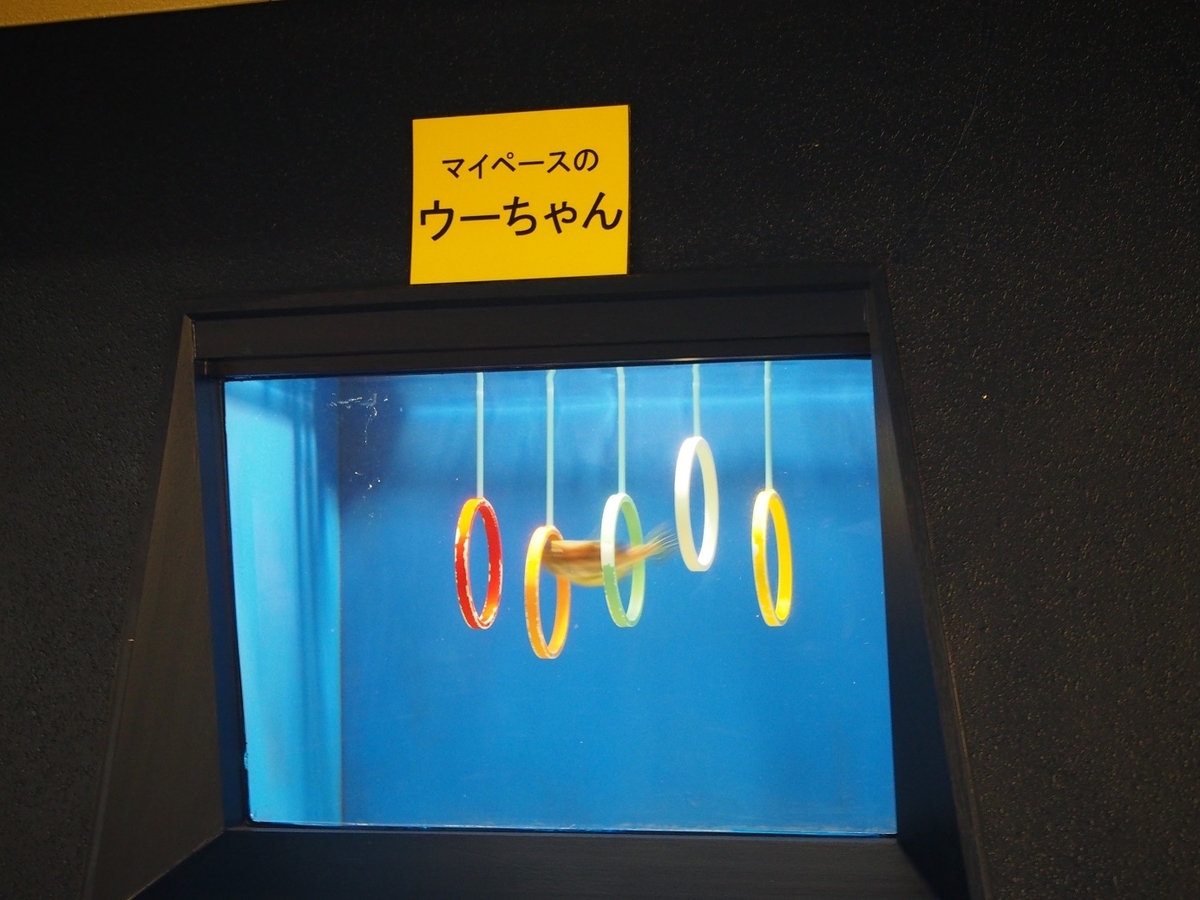 f:id:konsoyage:20200323013450j:plain
