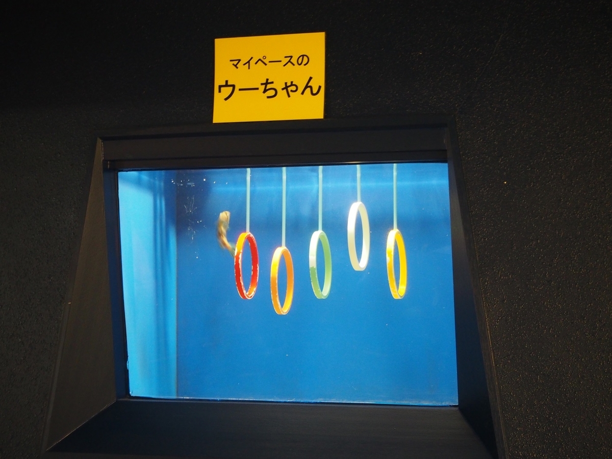 f:id:konsoyage:20200323013456j:plain