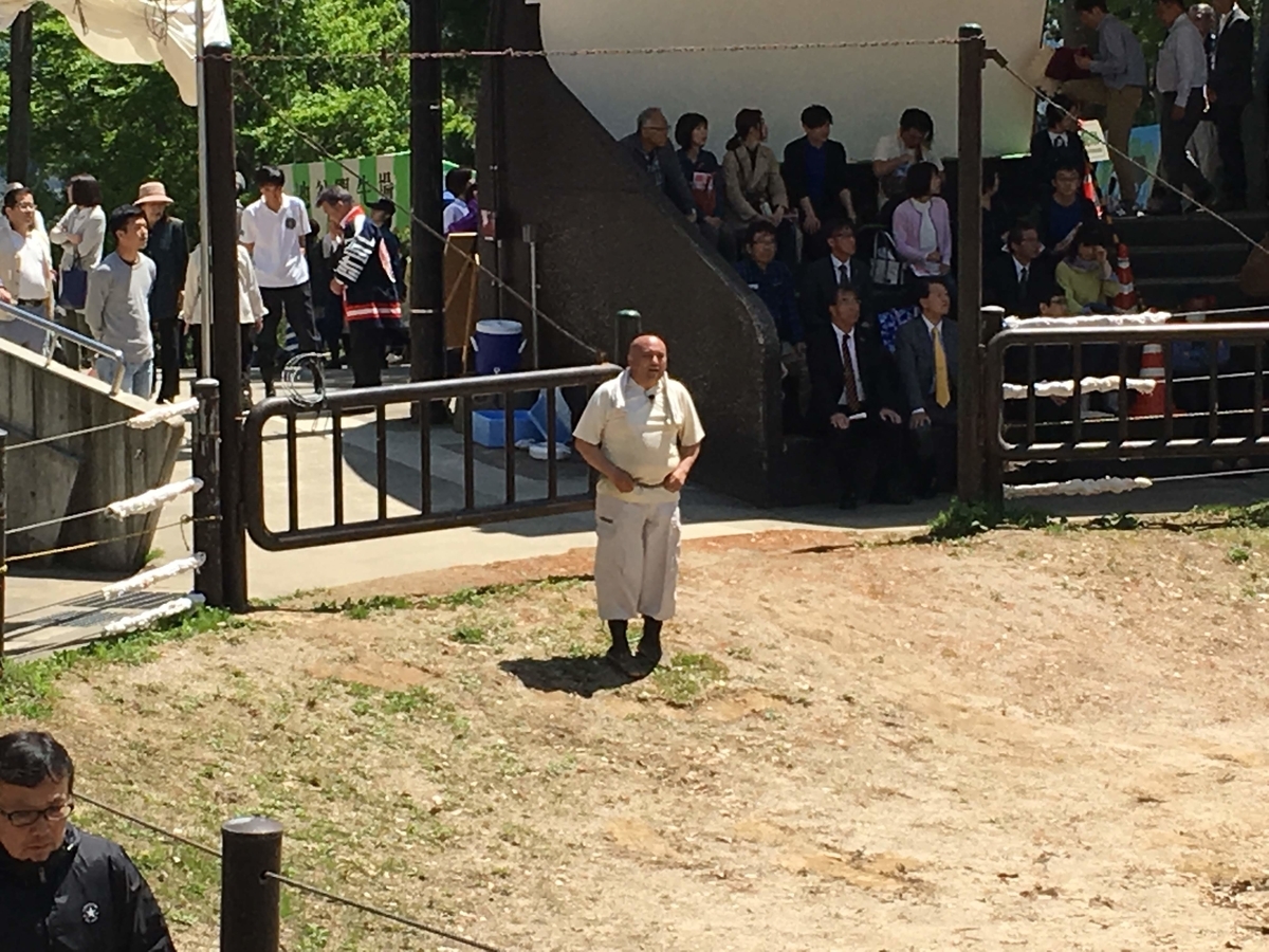 f:id:konsoyage:20200817004626j:plain