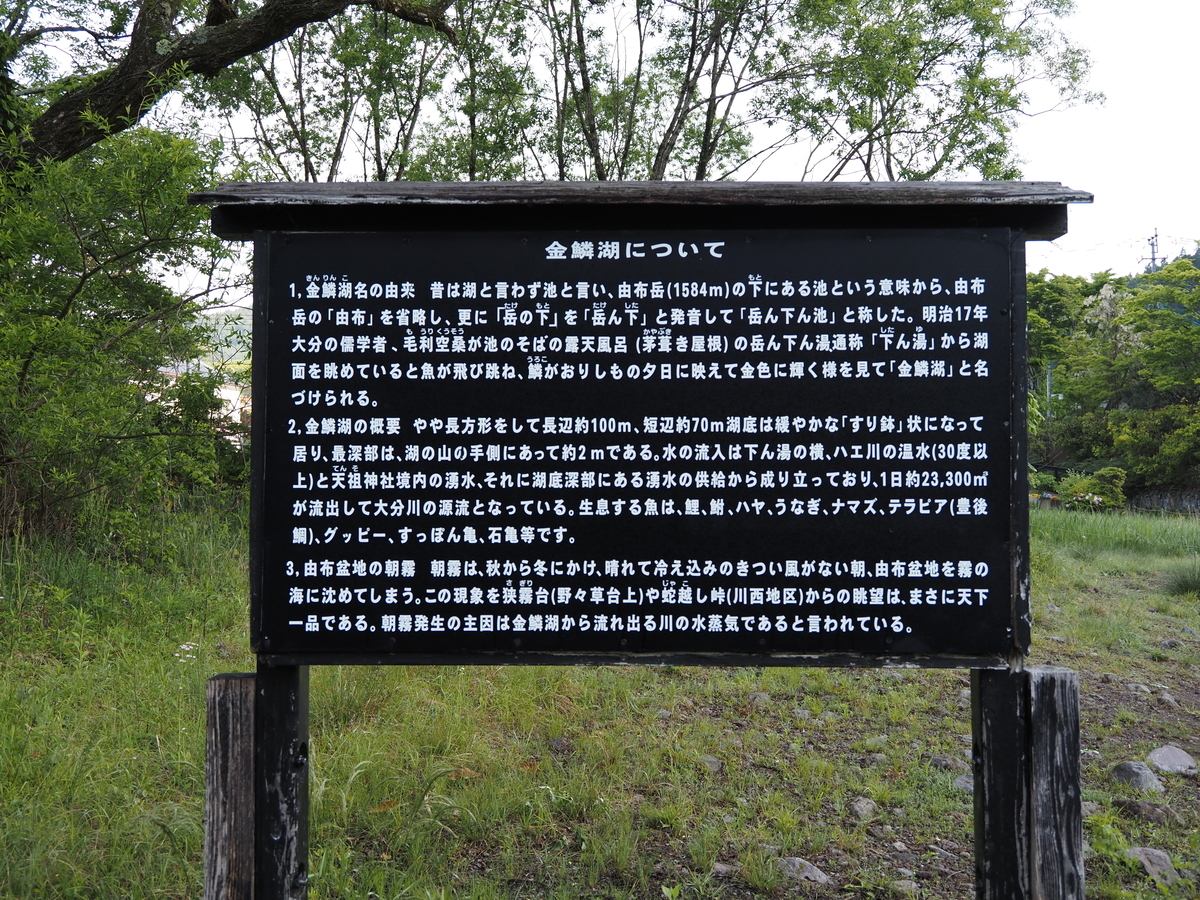 f:id:konsoyage:20210525235501j:plain