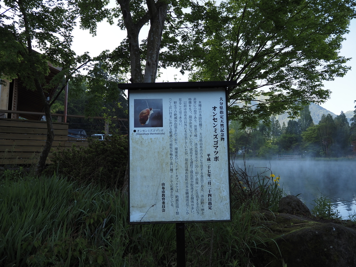 f:id:konsoyage:20210526000047j:plain
