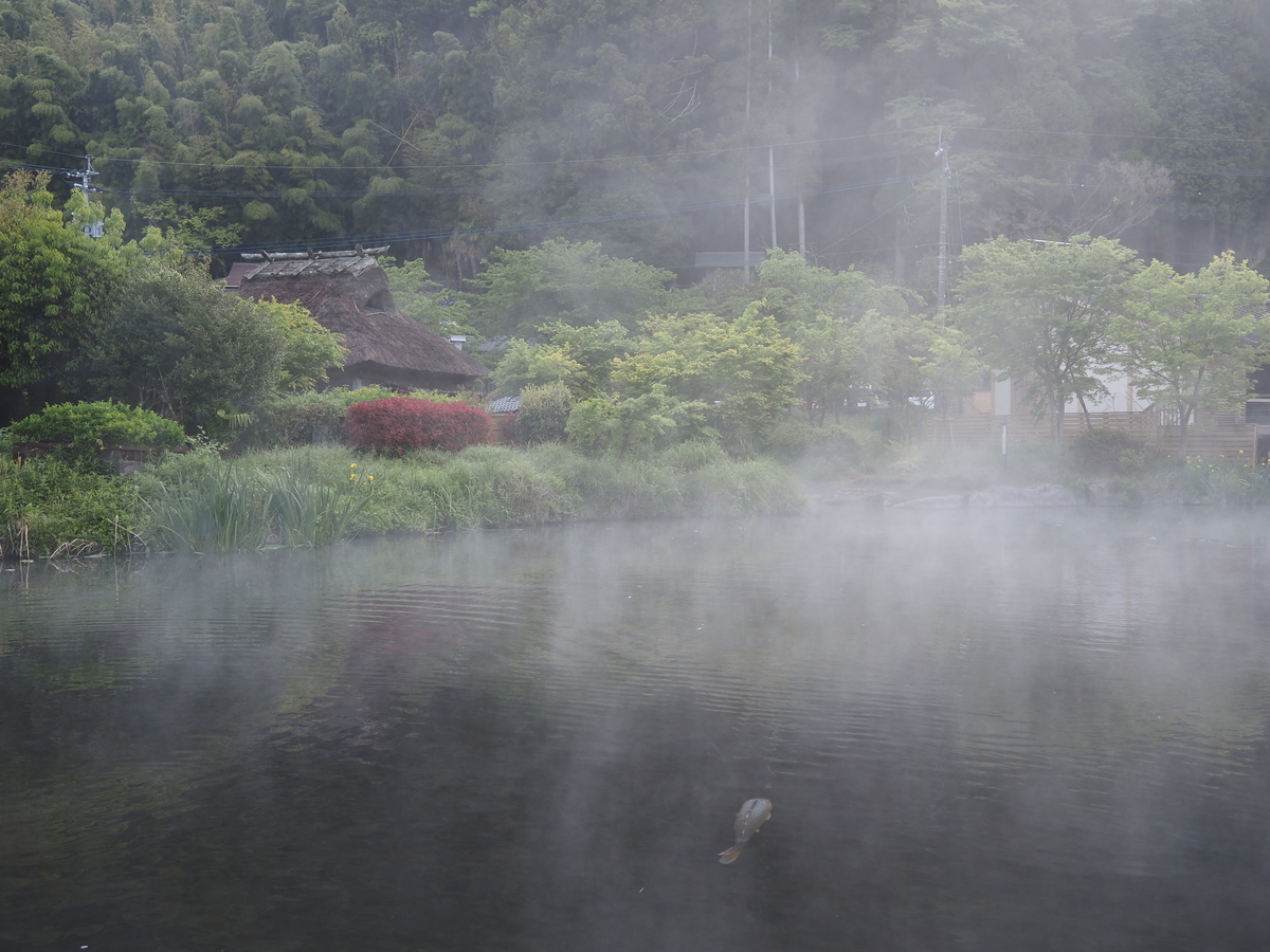 f:id:konsoyage:20210526000112j:plain