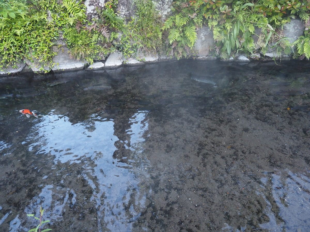 f:id:konsoyage:20210526000322j:plain