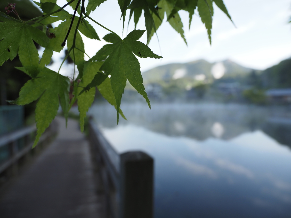f:id:konsoyage:20210526001902j:plain