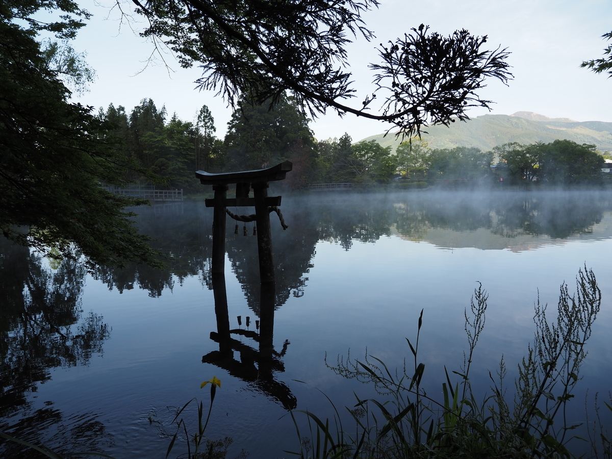 f:id:konsoyage:20210526002059j:plain