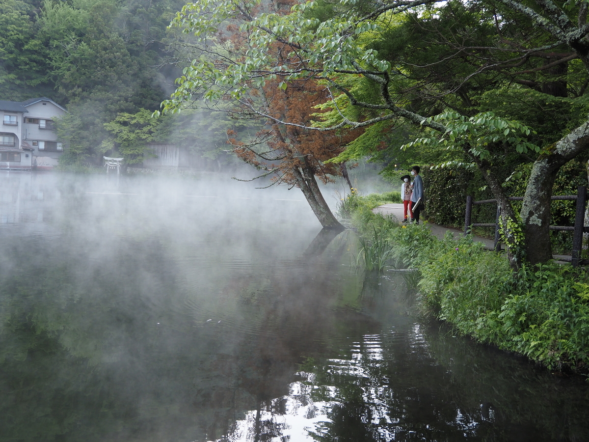 f:id:konsoyage:20210526002343j:plain