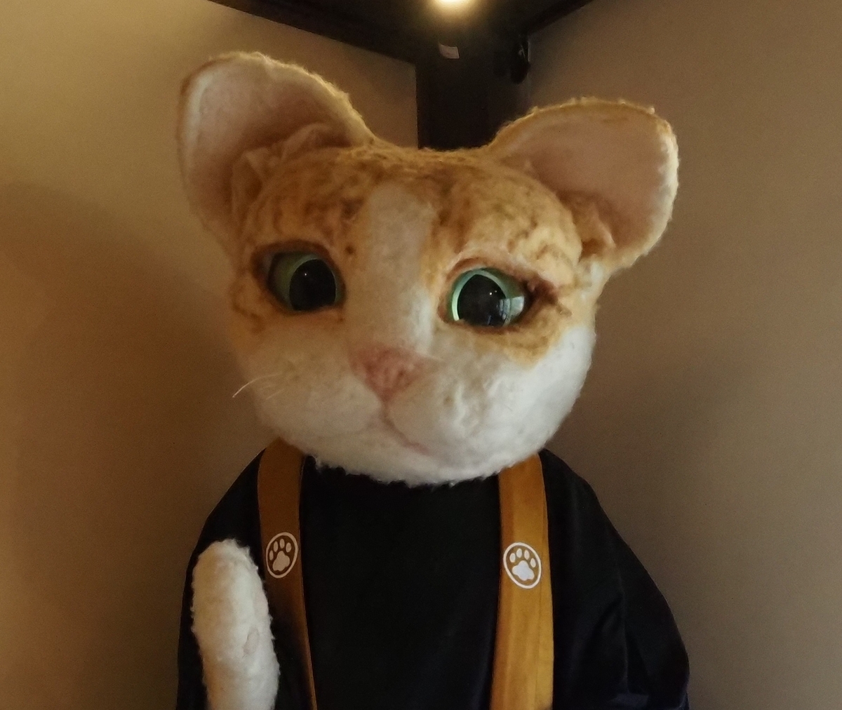 f:id:konsoyage:20211204143015j:plain