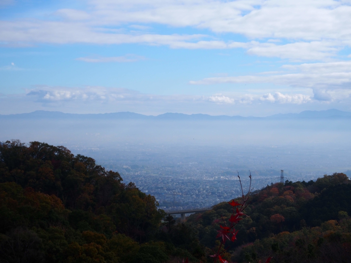 f:id:konsoyage:20211204191445j:plain