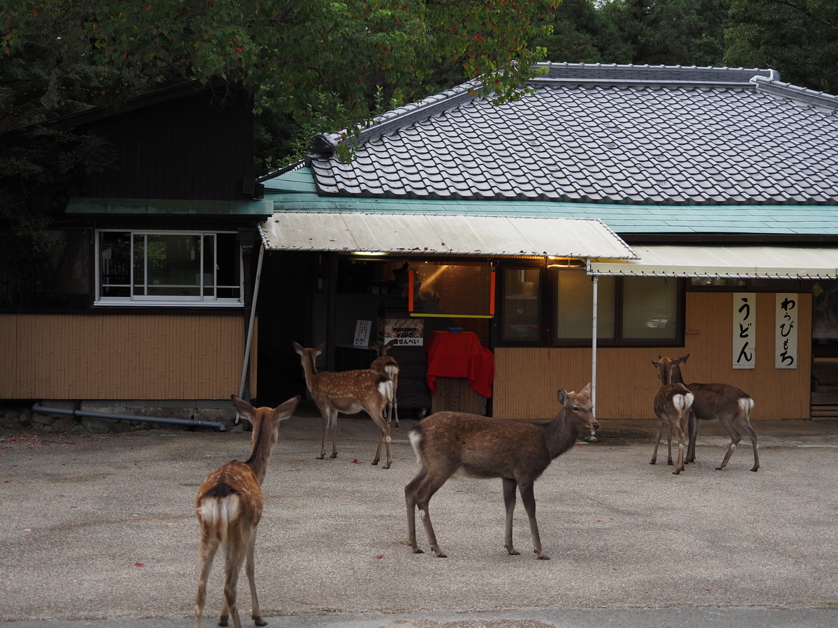 f:id:konsoyage:20211204192552j:plain